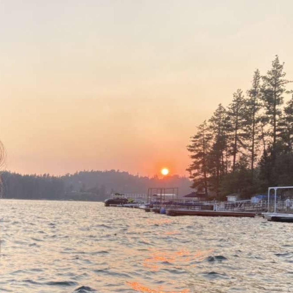 Meet your Posher, Bella